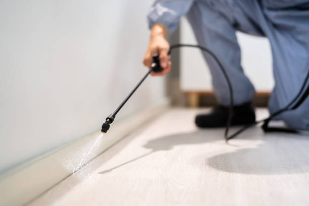 Certified termite inspector examining foundation in Country Club Estates
